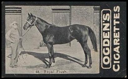 02OGIE 62 Royal Flush